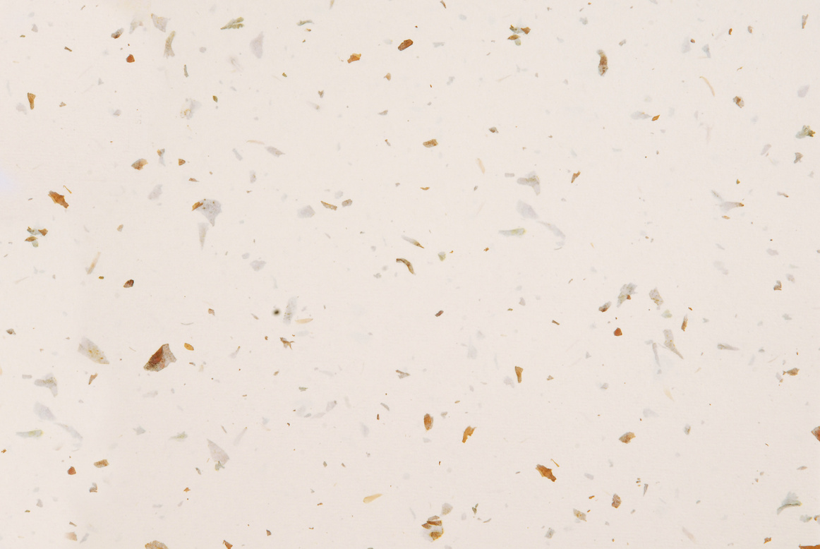 Speckled confetti background.